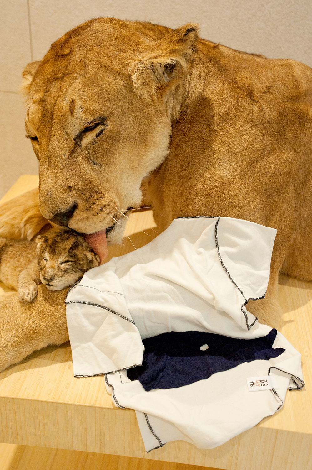 phSPAZIOGRAFIA DesignAtMuseum_3699_LT