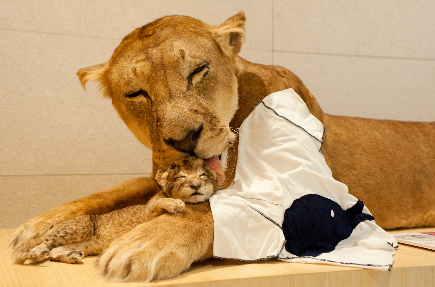 phSPAZIOGRAFIA DesignAtMuseum_3703_LT